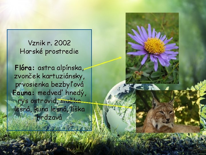 Vznik r. 2002 Horské prostredie Flóra: astra alpínska, zvonček kartuziánsky, prvosienka bezbyľová Fauna: medveď