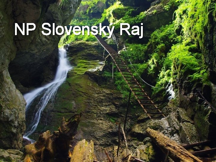 NP Slovenský Raj 