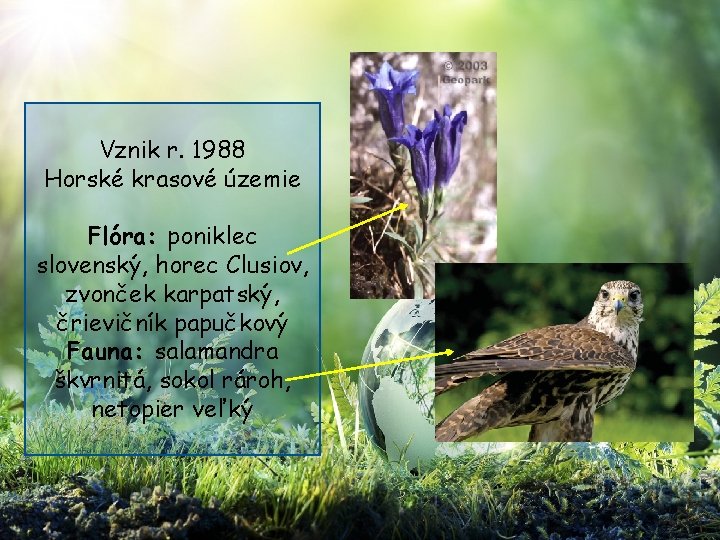 Vznik r. 1988 Horské krasové územie Flóra: poniklec slovenský, horec Clusiov, zvonček karpatský, črievičník