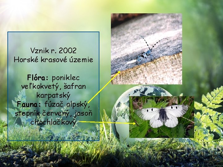 Vznik r. 2002 Horské krasové územie Flóra: poniklec veľkokvetý, šafran karpatský Fauna: fúzač alpský,