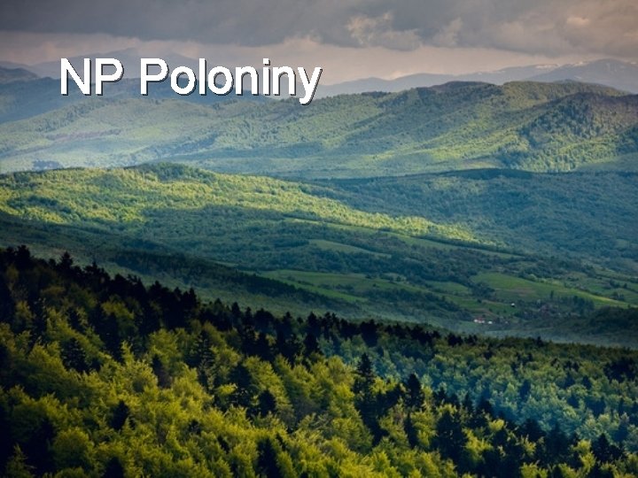 NP Poloniny 
