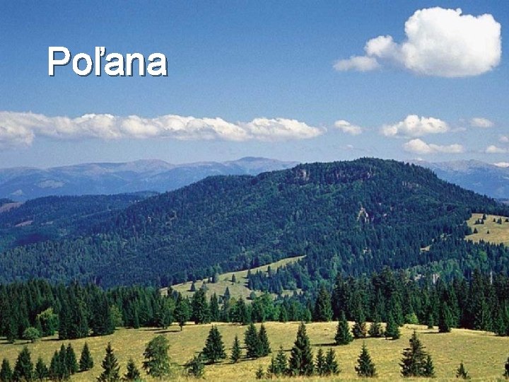 Poľana 