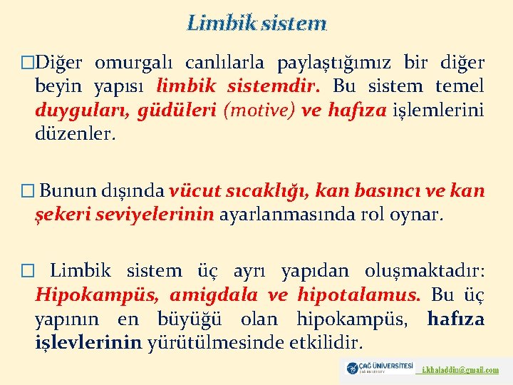 Limbik sistem �Diğer omurgalı canlılarla paylaştığımız bir diğer beyin yapısı limbik sistemdir. Bu sistem