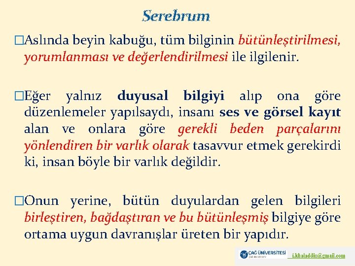 Serebrum �Aslında beyin kabuğu, tüm bilginin bütünleştirilmesi, yorumlanması ve değerlendirilmesi ile ilgilenir. �Eğer yalnız