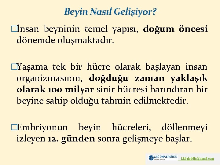 Beyin Nasıl Gelişiyor? �İnsan beyninin temel yapısı, doğum öncesi dönemde oluşmaktadır. �Yaşama tek bir