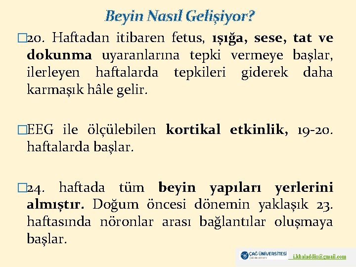 Beyin Nasıl Gelişiyor? � 20. Haftadan itibaren fetus, ışığa, sese, tat ve dokunma uyaranlarına