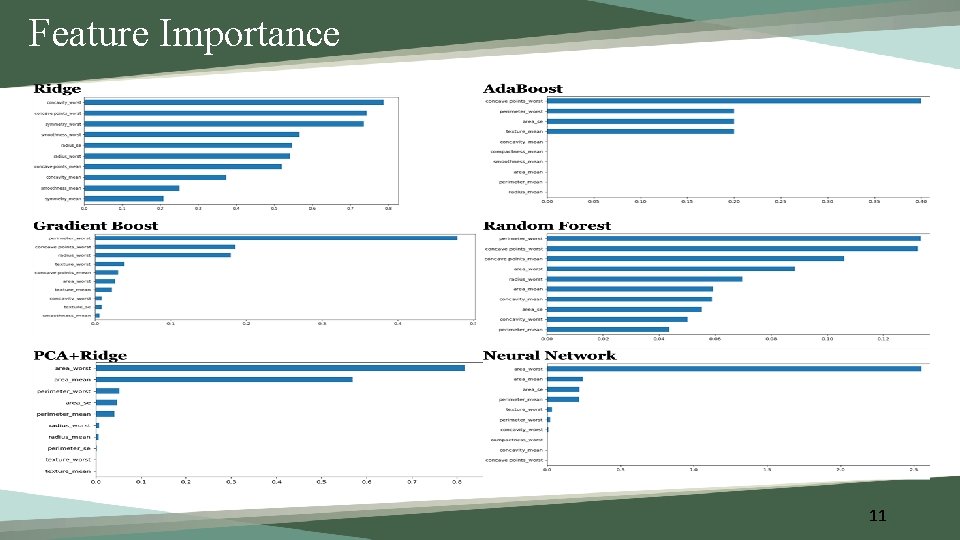 Feature Importance 11 