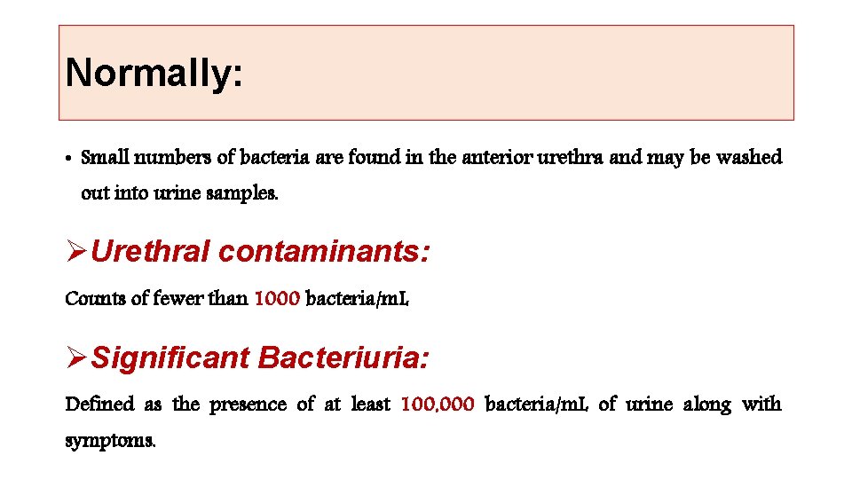 Normally: • Small numbers of bacteria are found in the anterior urethra and may