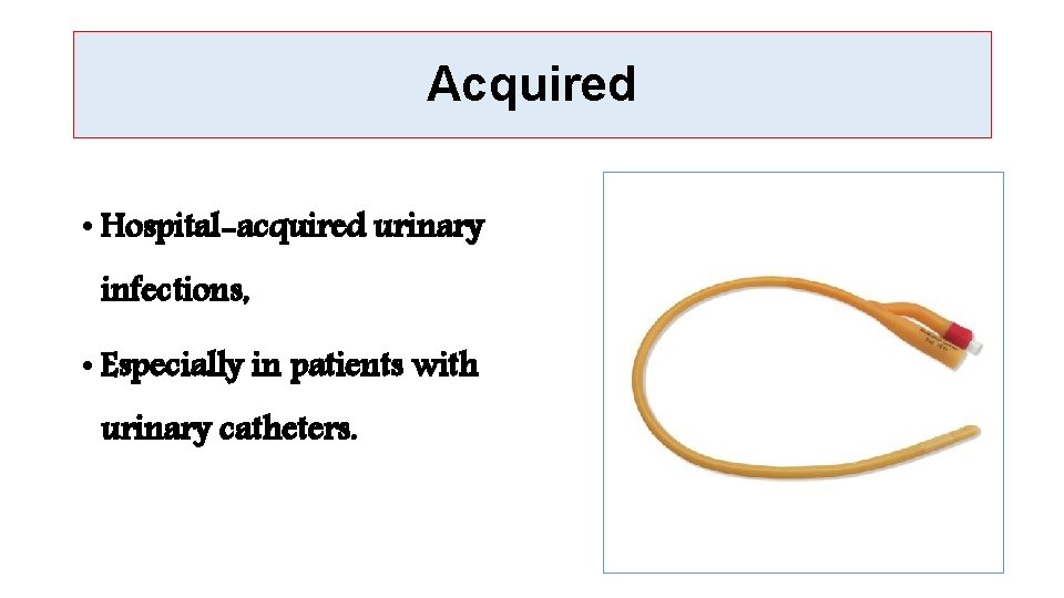 Acquired • Hospital-acquired urinary infections, • Especially in patients with urinary catheters. 