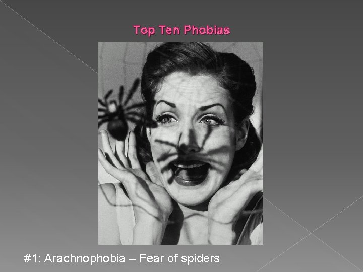 Top Ten Phobias #1: Arachnophobia – Fear of spiders 