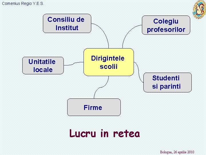 Comenius Regio Y. E. S. Consiliu de Institut Unitatile locale Colegiu profesorilor Dirigintele scolii