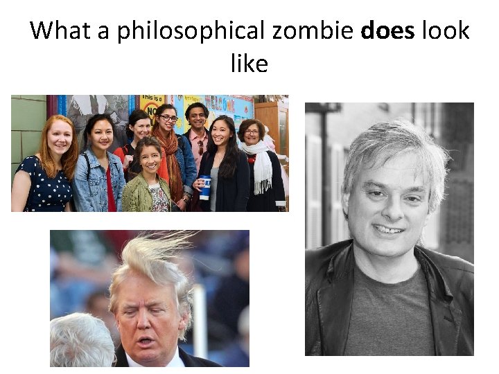 What a philosophical zombie does look like 