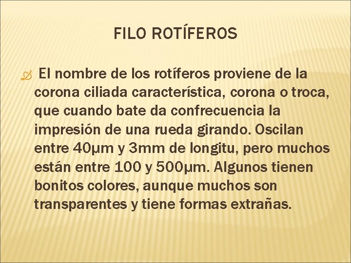 FILO ROTÍFEROS El nombre de los rotíferos proviene de la corona ciliada característica, corona