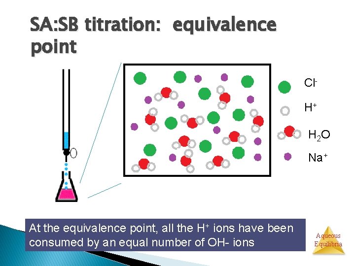 SA: SB titration: equivalence point Cl. H+ H 2 O Na+ At the equivalence