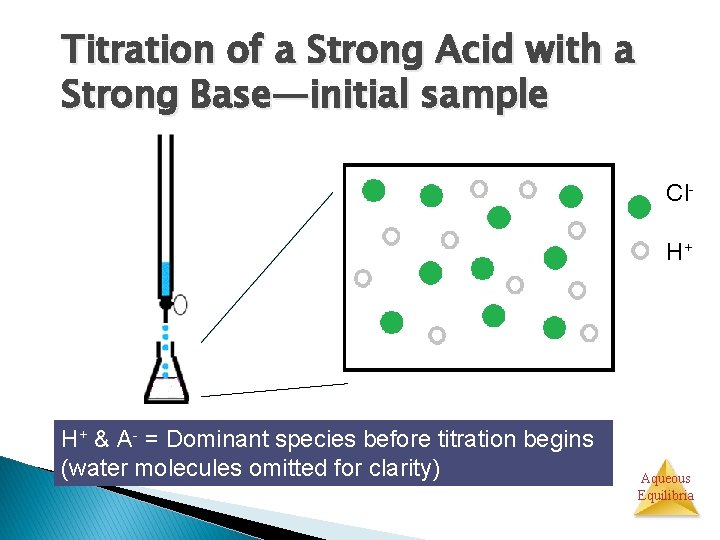 Titration of a Strong Acid with a Strong Base—initial sample Cl. H+ H+ &