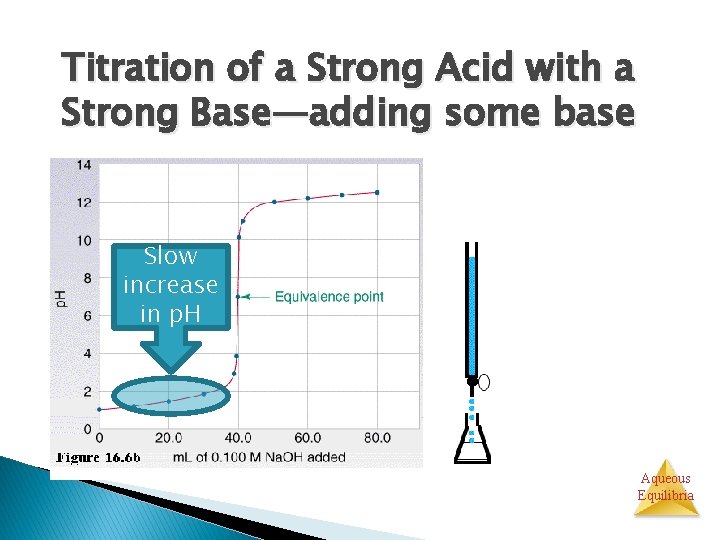 Titration of a Strong Acid with a Strong Base—adding some base Slow increase in