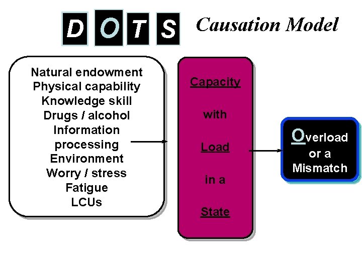 D O T S Causation Model Natural endowment Physical capability Knowledge skill Drugs /