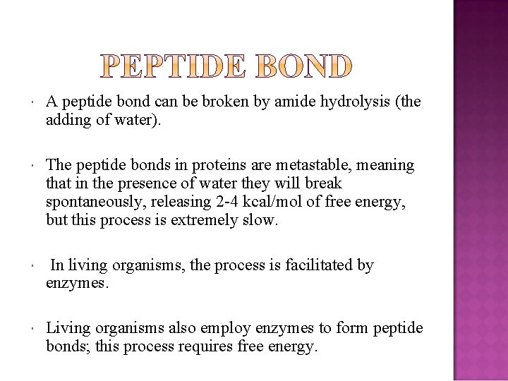  A peptide bond can be broken by amide hydrolysis (the adding of water).