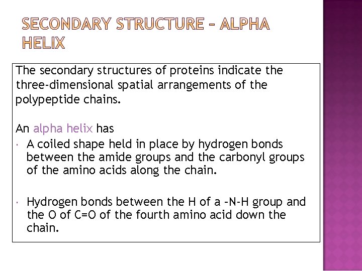 The secondary structures of proteins indicate three-dimensional spatial arrangements of the polypeptide chains. An