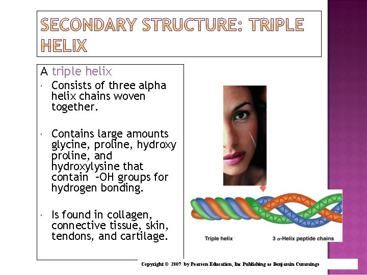 A triple helix Consists of three alpha helix chains woven together. Contains large amounts