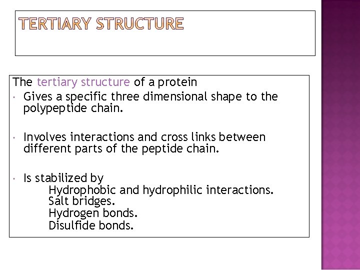 The tertiary structure of a protein Gives a specific three dimensional shape to the