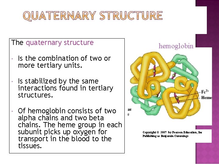 The quaternary structure Is the combination of two or more tertiary units. Is stabilized