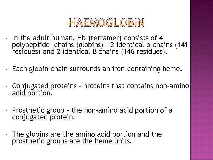  In the adult human, Hb (tetramer) consists of 4 polypeptide chains (globins) –