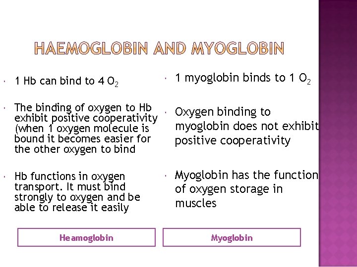  1 myoglobin binds to 1 O 2 1 Hb can bind to 4