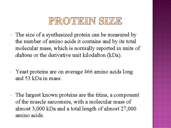  The size of a synthesized protein can be measured by the number of
