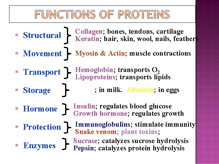 § Structural Collagen; Collagen bones, tendons, cartilage Keratin; Keratin hair, skin, wool, nails, feathers