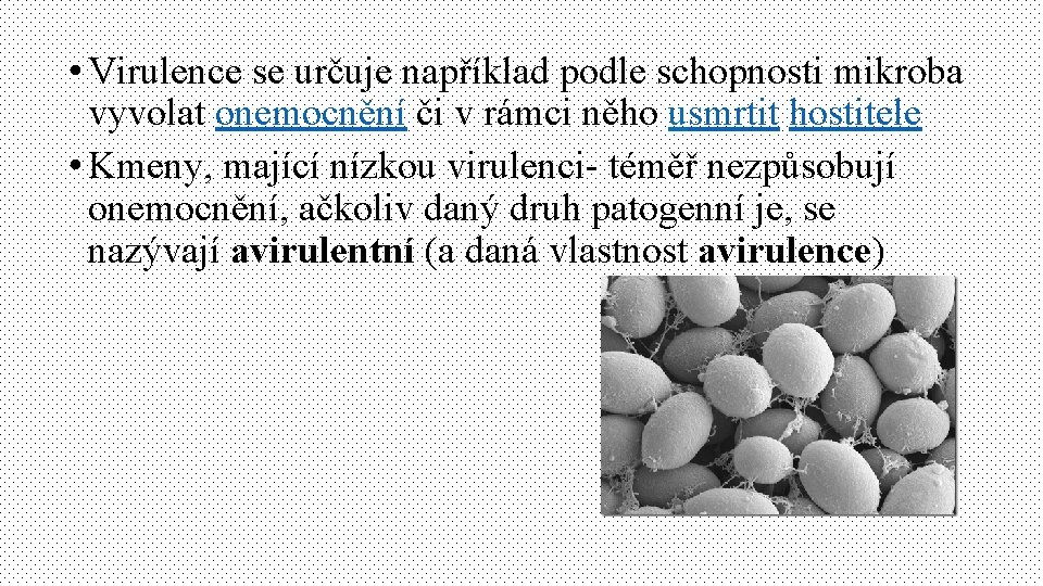  • Virulence se určuje například podle schopnosti mikroba vyvolat onemocnění či v rámci