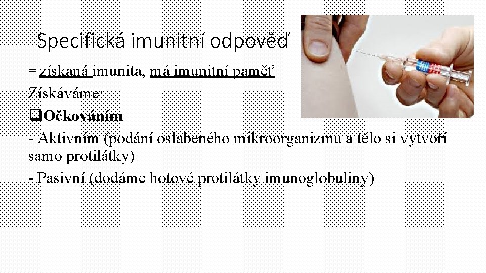 Specifická imunitní odpověď = získaná imunita, má imunitní paměť Získáváme: q. Očkováním - Aktivním