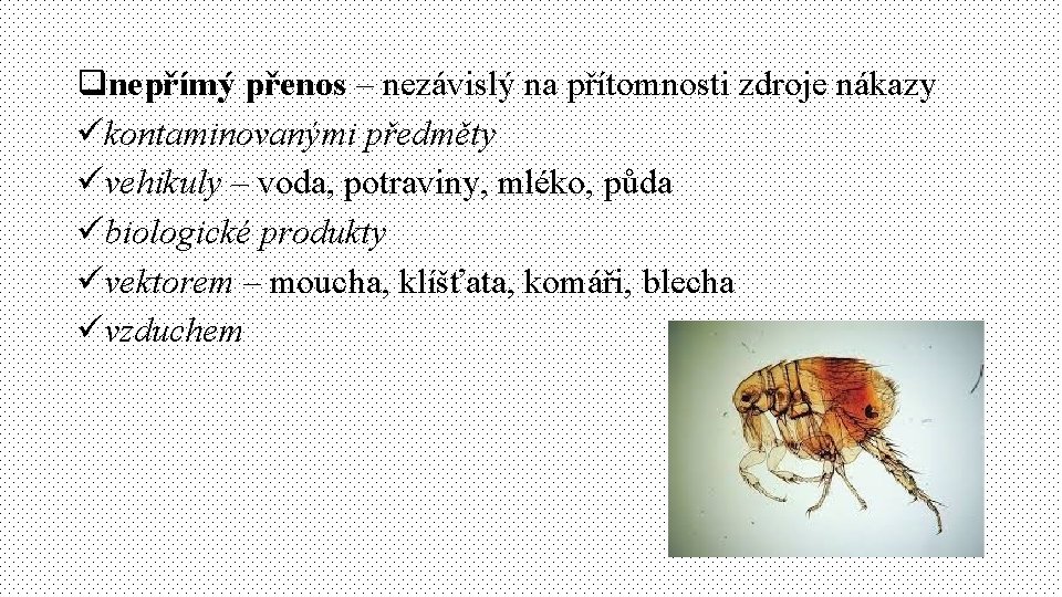 qnepřímý přenos – nezávislý na přítomnosti zdroje nákazy ükontaminovanými předměty üvehikuly – voda, potraviny,