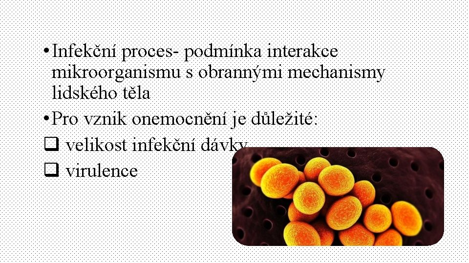  • Infekční proces- podmínka interakce mikroorganismu s obrannými mechanismy lidského těla • Pro