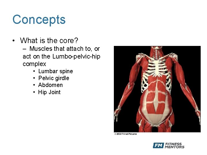 Concepts • What is the core? – Muscles that attach to, or act on