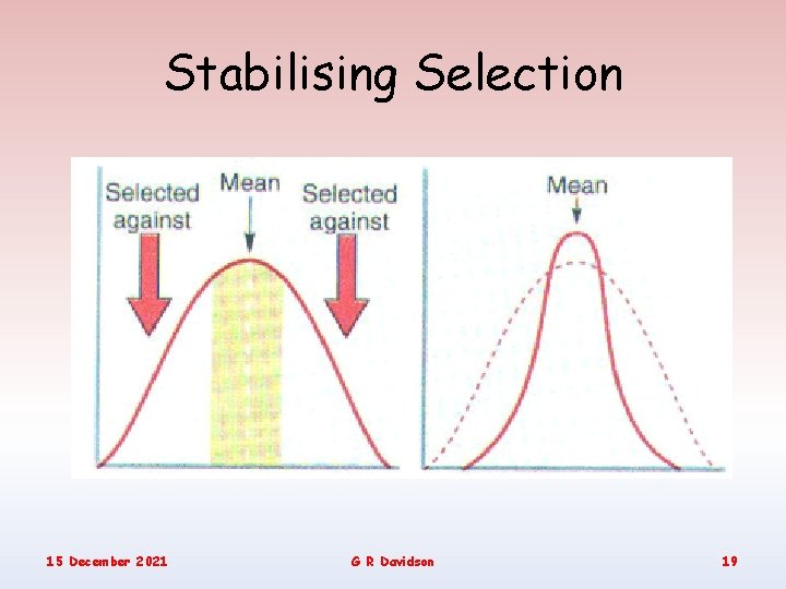 Stabilising Selection 15 December 2021 G R Davidson 19 