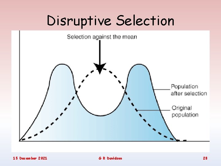 Disruptive Selection 15 December 2021 G R Davidson 28 