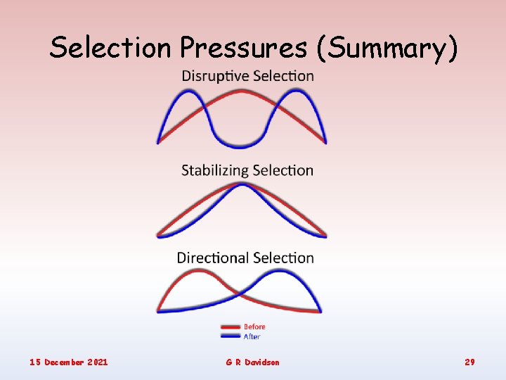 Selection Pressures (Summary) 15 December 2021 G R Davidson 29 