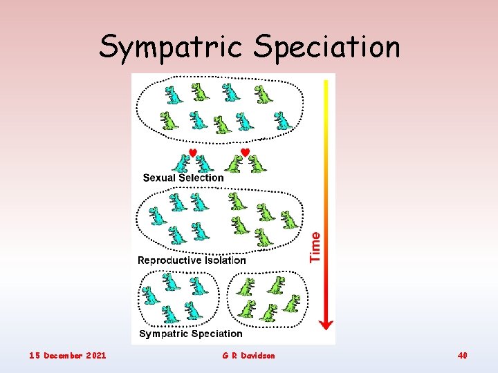 Sympatric Speciation 15 December 2021 G R Davidson 40 