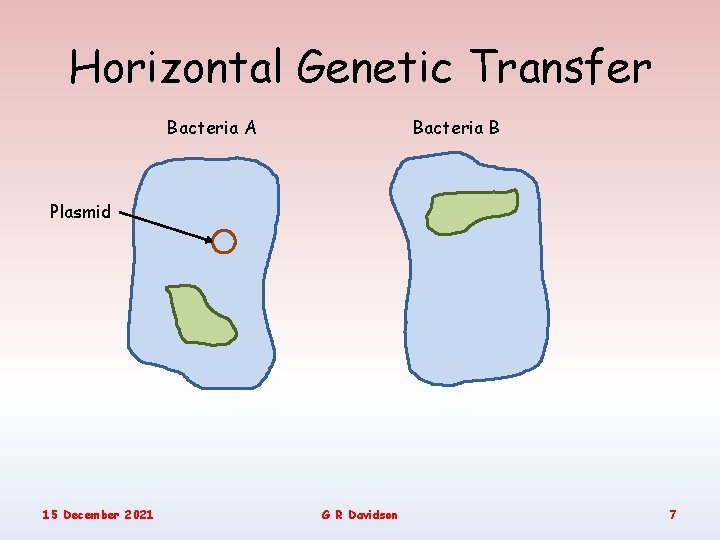Horizontal Genetic Transfer Bacteria B Bacteria A Plasmid 15 December 2021 G R Davidson