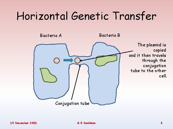 Horizontal Genetic Transfer Bacteria B Bacteria A The plasmid is copied and it then