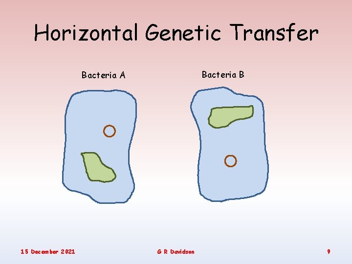 Horizontal Genetic Transfer Bacteria B Bacteria A 15 December 2021 G R Davidson 9