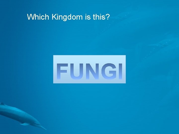 Which Kingdom is this? 