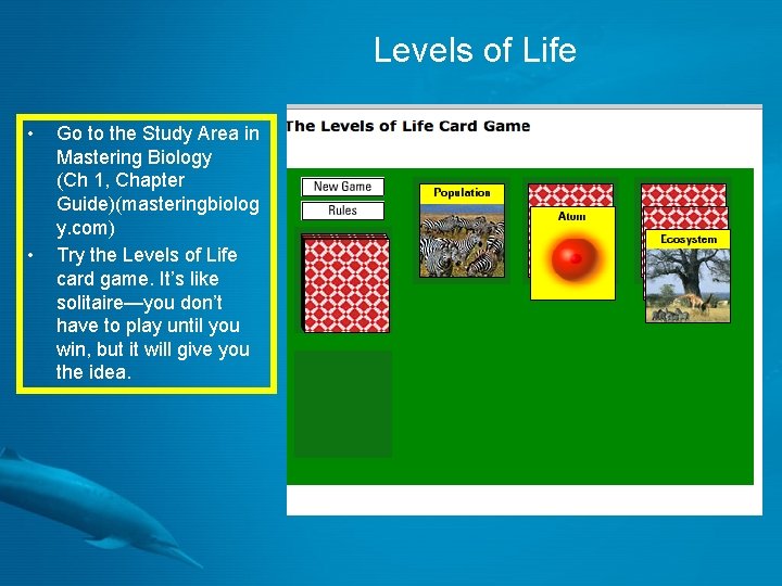 Levels of Life • • Go to the Study Area in Mastering Biology (Ch