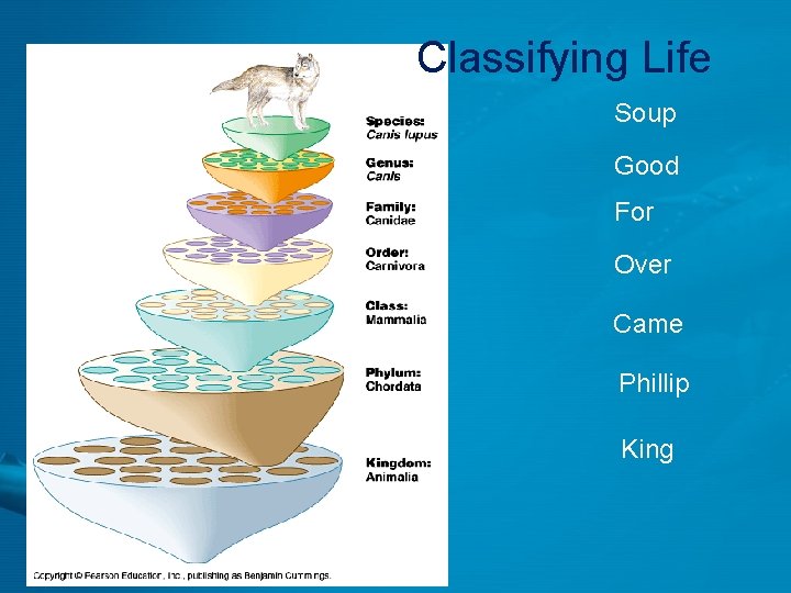 Classifying Life Soup Good For Over Came Phillip King 