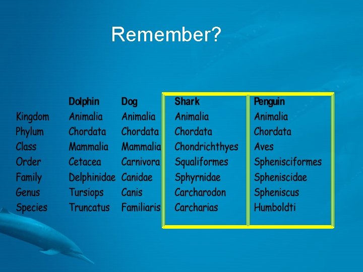 Remember? 