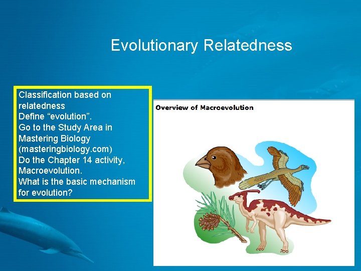 Evolutionary Relatedness Classification based on relatedness Define “evolution”. Go to the Study Area in