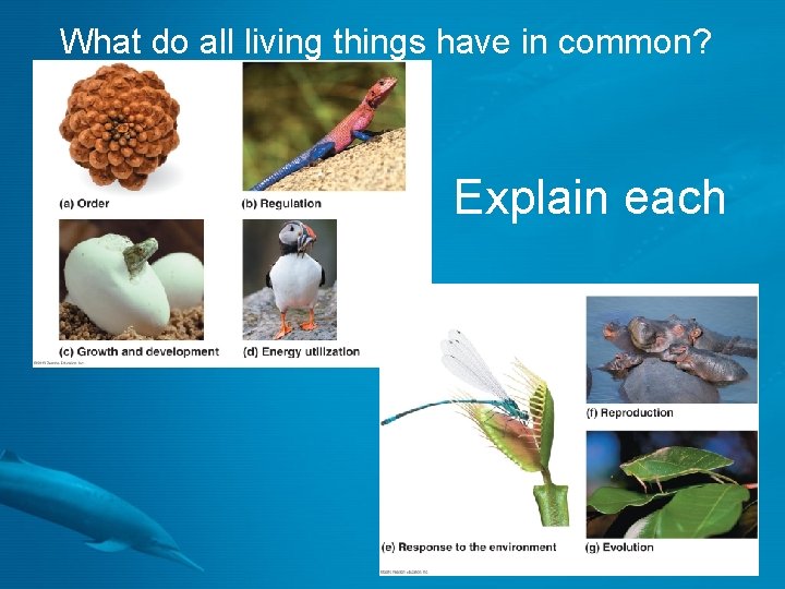 What do all living things have in common? Explain each 