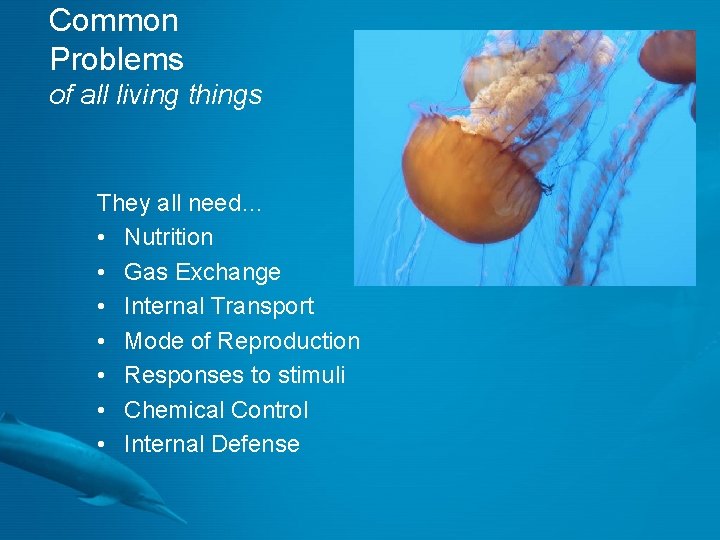 Common Problems of all living things They all need… • Nutrition • Gas Exchange