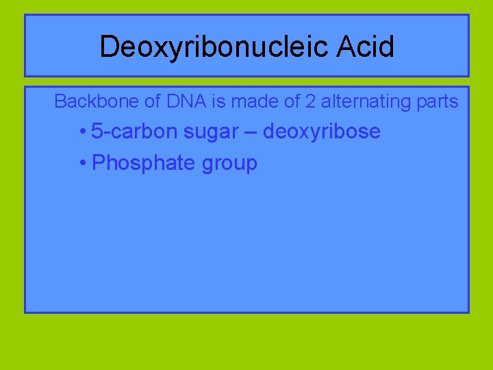 Deoxyribonucleic Acid Backbone of DNA is made of 2 alternating parts • 5 -carbon